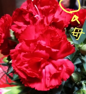 2015-05-11-16-56-44_deco