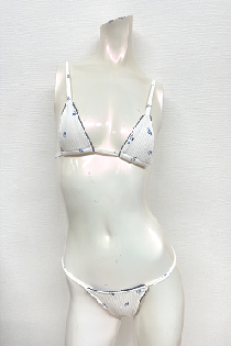 グラビア水着