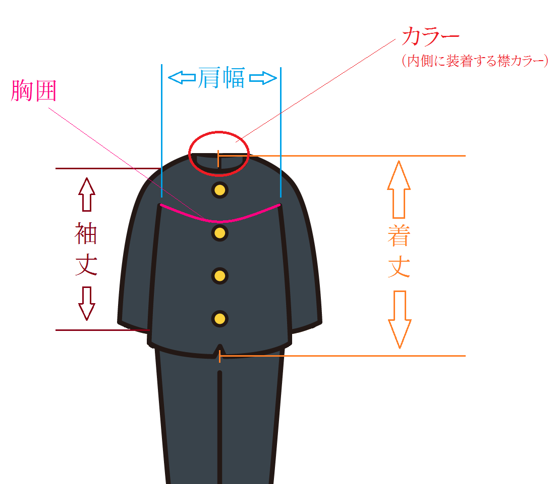 メンズ学生服のサイズ例